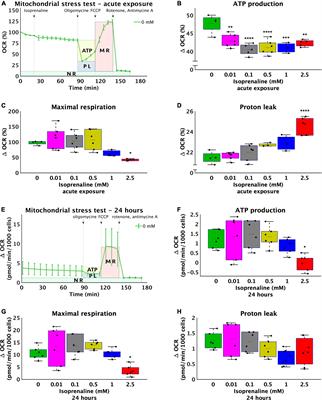 Isoprenaline modified the lipidomic profile and reduced β-oxidation in HL-1 cardiomyocytes: In vitro model of takotsubo syndrome